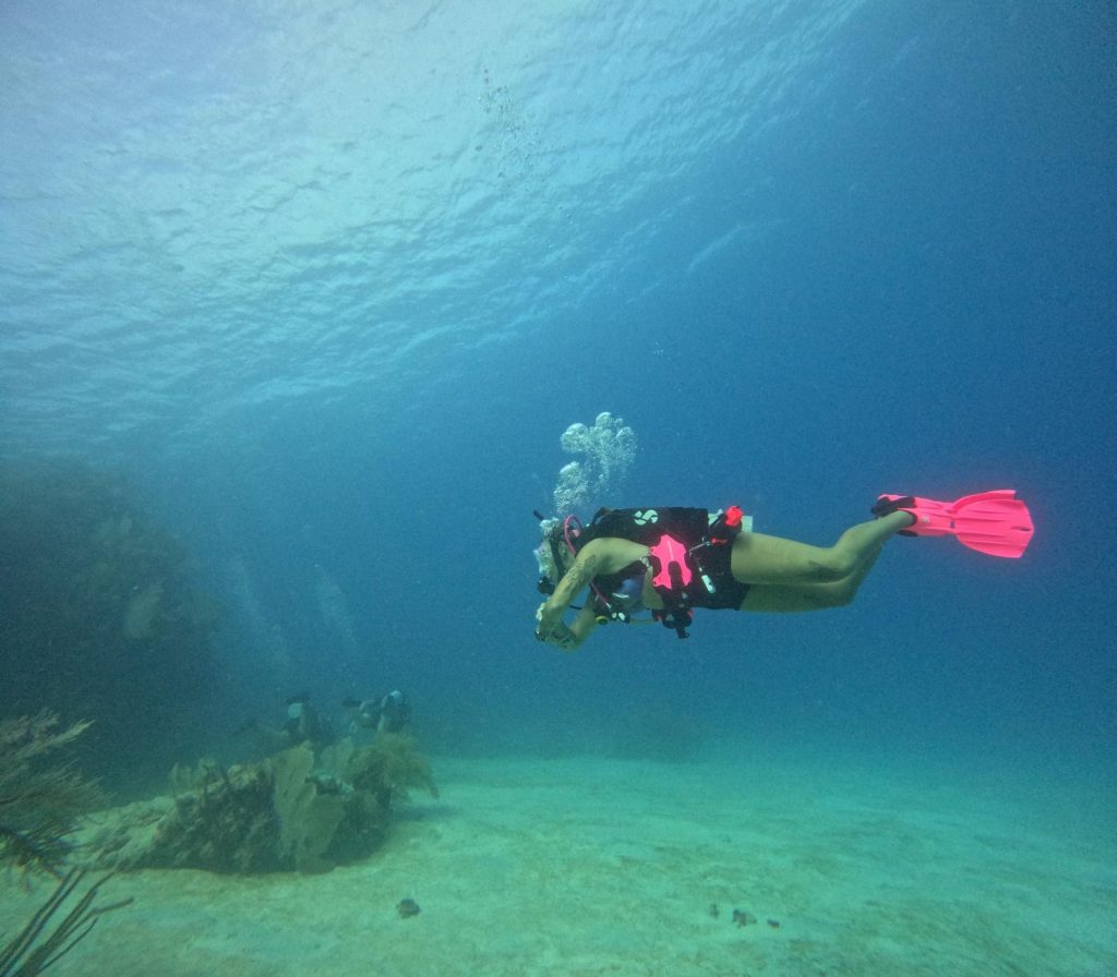 scuba diving utila, scuba diving utila honduras, scuba diving honduras, scuba diving utila bay island, scuba diving certification utila, scuba diving certification utila honduras, scuba diving certification honduras, scuba diving certification utila bay island, scuba diving school utila, sscuba diving school utila honduras, scuba diving school honduras, scuba diving school utila bay island, padi diving school utila, padi diving diving school utila honduras, padi diving school honduras, padi diving school utila bay island, best diving locations, best place to dive, top diving locations in the world, top diving locations, best diving spots, dive packages utila,