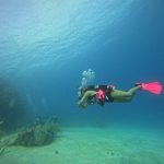 scuba diving utila, scuba diving utila honduras, scuba diving honduras, scuba diving utila bay island, scuba diving certification utila, scuba diving certification utila honduras, scuba diving certification honduras, scuba diving certification utila bay island, scuba diving school utila, sscuba diving school utila honduras, scuba diving school honduras, scuba diving school utila bay island, padi diving school utila, padi diving diving school utila honduras, padi diving school honduras, padi diving school utila bay island, best diving locations, best place to dive, top diving locations in the world, top diving locations, best diving spots, dive packages utila,