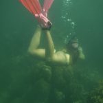 scuba diving utila, scuba diving utila honduras, scuba diving honduras, scuba diving utila bay island, scuba diving certification utila, scuba diving certification utila honduras, scuba diving certification honduras, scuba diving certification utila bay island, scuba diving school utila, sscuba diving school utila honduras, scuba diving school honduras, scuba diving school utila bay island, padi diving school utila, padi diving diving school utila honduras, padi diving school honduras, padi diving school utila bay island, best diving locations, best place to dive, top diving locations in the world, top diving locations, best diving spots, dive packages utila,