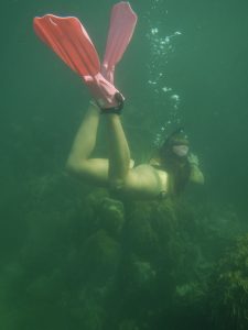 scuba diving utila, scuba diving utila honduras, scuba diving honduras, scuba diving utila bay island, scuba diving certification utila, scuba diving certification utila honduras, scuba diving certification honduras, scuba diving certification utila bay island, scuba diving school utila, sscuba diving school utila honduras, scuba diving school honduras, scuba diving school utila bay island, padi diving school utila, padi diving diving school utila honduras, padi diving school honduras, padi diving school utila bay island, best diving locations, best place to dive, top diving locations in the world, top diving locations, best diving spots, dive packages utila,