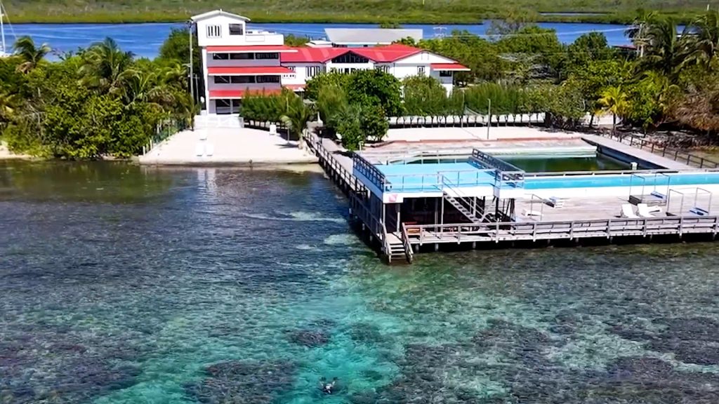 Utila accommodations, island lodging Utila Bay Islands, best hotels Utila Honduras, vacation rentals Utila, beachfront hotels Utila, boutique hotels Utila Bay Islands, eco lodges Utila Honduras, island resorts Honduras, Caribbean island stays, places to stay in Utila, Utila vacation lodging, Honduras island accommodations, travel lodging Utila Bay Islands, tropical island hotels Caribbean,