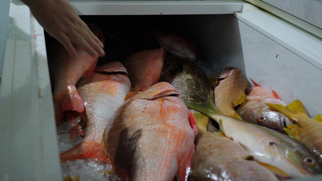 culinary experience, unique food places, food vlogging destination, food vloggers, food destination, top food destination, utila food tour, honduras food, honduras culture, honduras food culture, honduras food, create food content, best place to create food content, food experience, caribbean food, food vlog