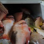 culinary experience, unique food places, food vlogging destination, food vloggers, food destination, top food destination, utila food tour, honduras food, honduras culture, honduras food culture, honduras food, create food content, best place to create food content, food experience, caribbean food, food vlog