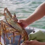 culinary experience, unique food places, food vlogging destination, food vloggers, food destination, top food destination, utila food tour, honduras food, honduras culture, honduras food culture, honduras food, create food content, best place to create food content, food experience, caribbean food, food vlog, utila food, utila bay island food,