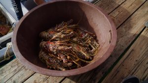 culinary experience, unique food places, food vlogging destination, food vloggers, food destination, top food destination, utila food tour, honduras food, honduras culture, honduras food culture, honduras food, create food content, best place to create food content, food experience, caribbean food, food vlog, utila food, utila bay island food,