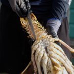 culinary experience, unique food places, food vlogging destination, food vloggers, food destination, top food destination, utila food tour, honduras food, honduras culture, honduras food culture, honduras food, create food content, best place to create food content, food experience, caribbean food, food vlog, utila food, utila bay island food,