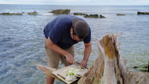 culinary experience, unique food places, food vlogging destination, food vloggers, food destination, top food destination, utila food tour, honduras food, honduras culture, honduras food culture, honduras food, create food content, best place to create food content, food experience, caribbean food, food vlog, utila food, utila bay island food,