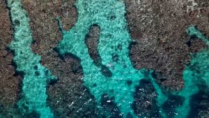 Utila budget island travel, low cost Caribbean islands, digital nomad Utila, long stay island travel Honduras, affordable island adventures, hostel life Utila Bay Islands, gap year travel Honduras, island hopping Central America, slow travel Utila, backpacker community Caribbean, travel on a budget Central America, minimalist island travel, adventure travel for backpackers, independent travel Honduras islands