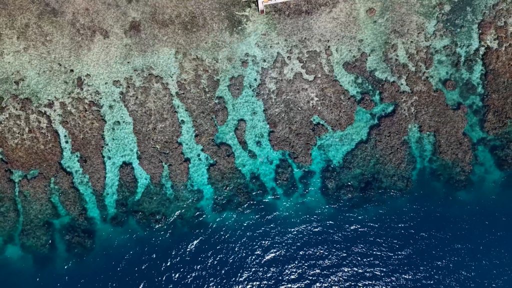 Utila Bay Island Honduras