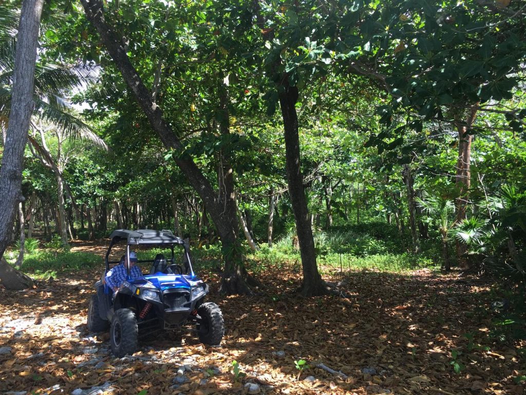 atv rentals utila, atv rentals utila honduras, atv rentals utila bay Islands honduras, atv rental utila bay Islands