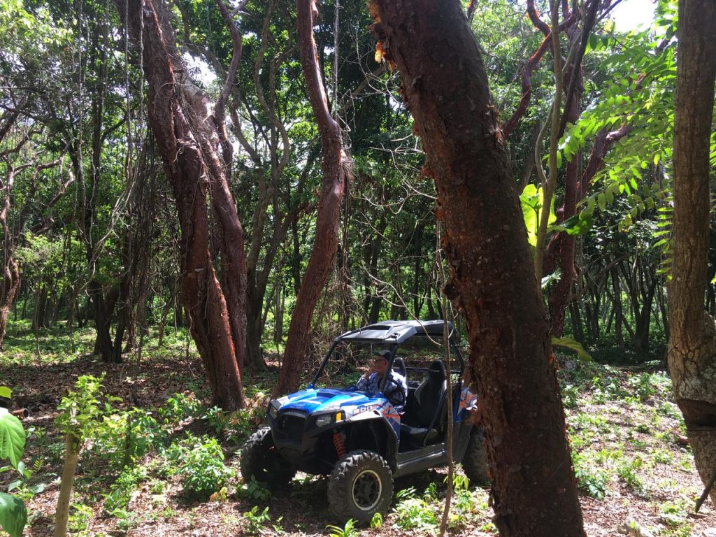 atv rentals utila, atv rentals utila honduras, atv rentals utila bay Islands honduras, atv rental utila bay Islands